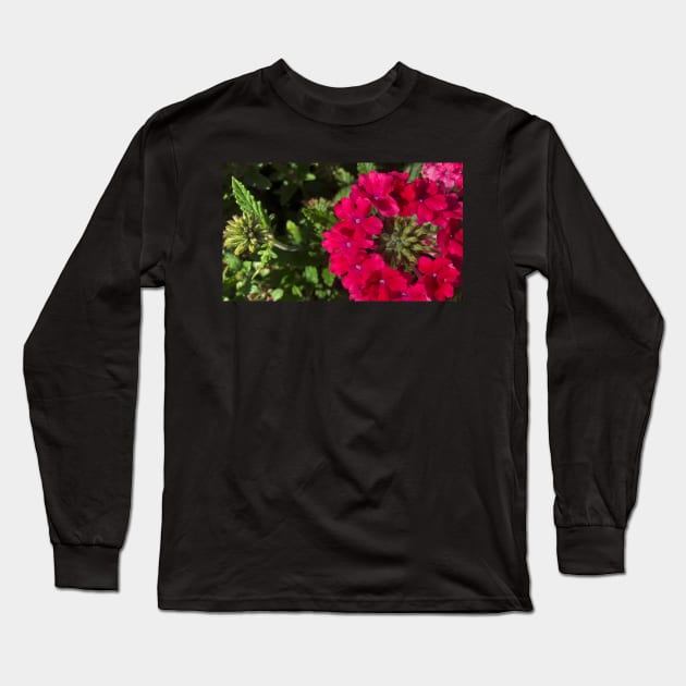 The Delicate Balance of Summer Flowers Long Sleeve T-Shirt by Photomersion